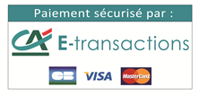 ca-e-transactions-cb-visa-mastercard.png
